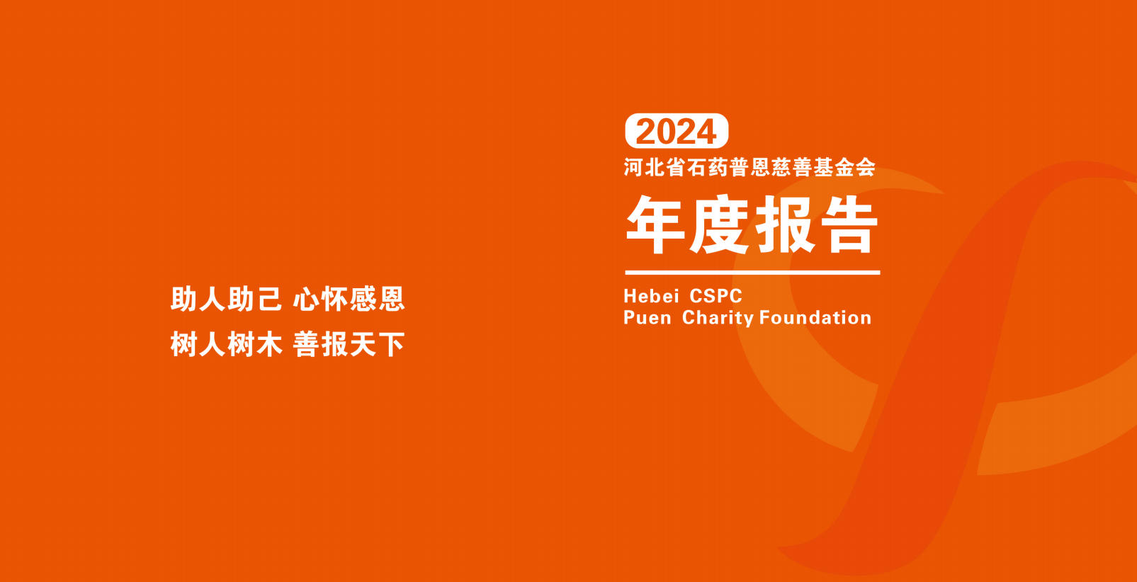 2024年报封面